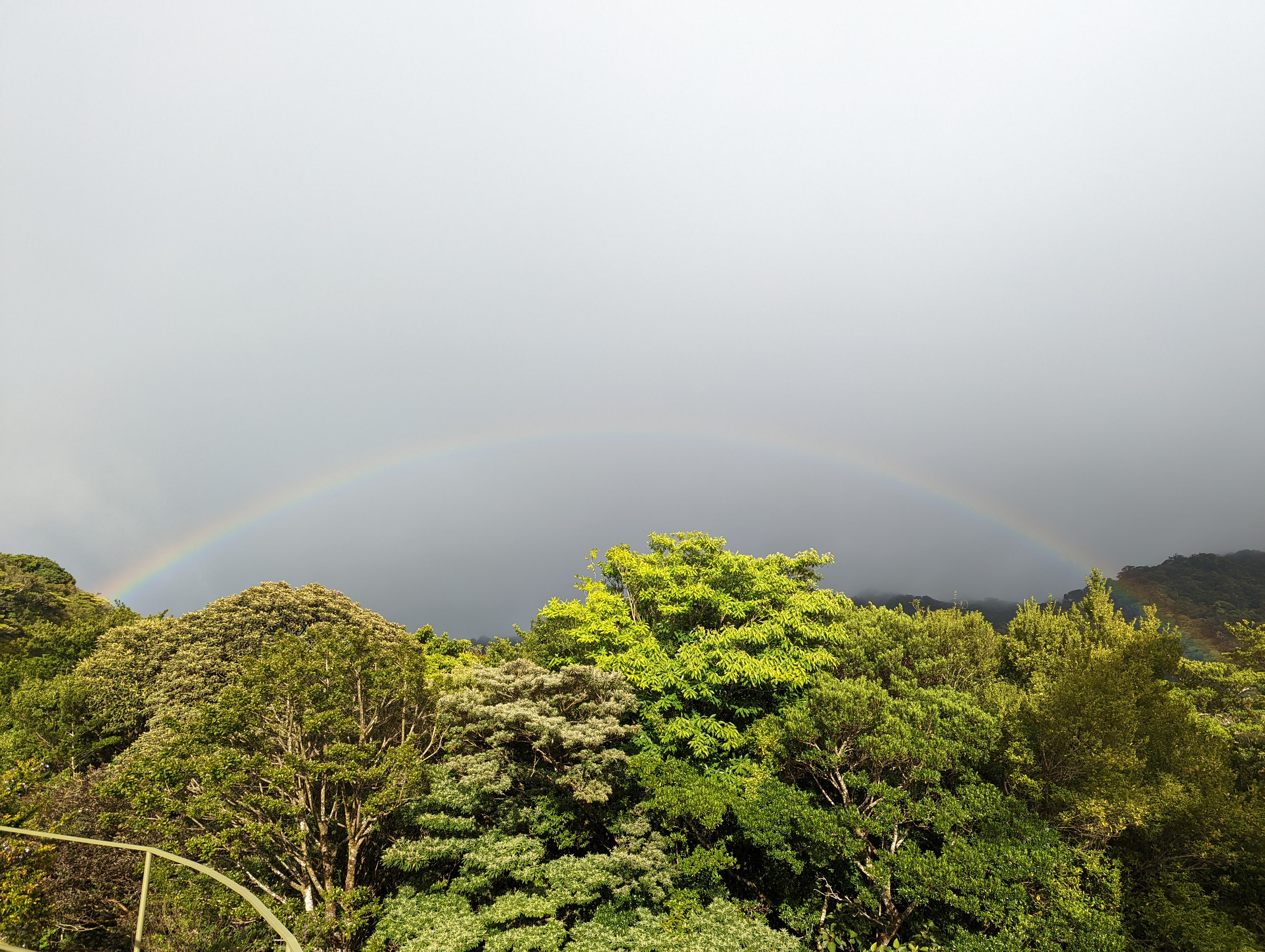 Costa Rica: The Cloud Forest of Monteverde and Beaches of Nosara and Tamarindo
